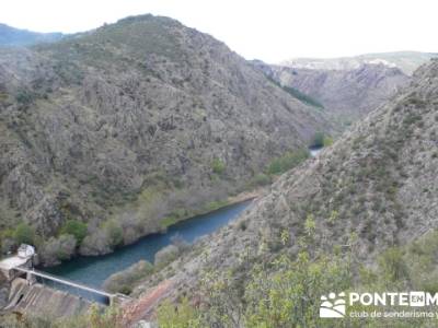 Senda Genaro - GR300 - Embalse de El Atazar - Patones de Abajo _ El Atazar; senderismo en ronda